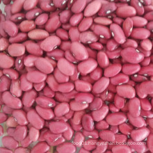 Top Quality New Crop Red Kidney Beans